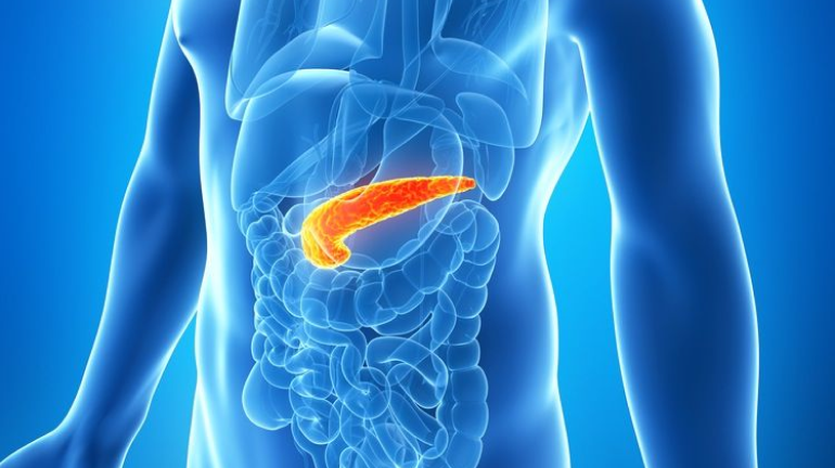 Fungsi dan Peran Penting Pankreas dalam Tubuh Manusia
